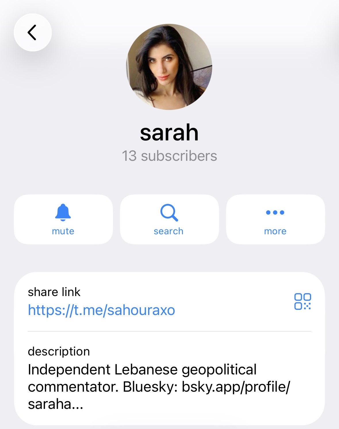 Report: Account Impersonation and Identity Theft on Telegram