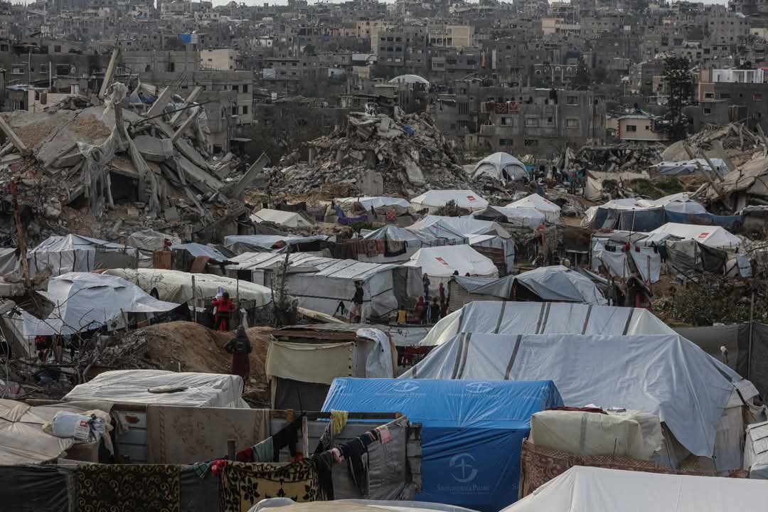 Gaza: 115 Palestinians killed since ceasefire began January 19