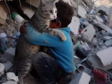 Palestinian child reunites with cat after Gaza house bombing