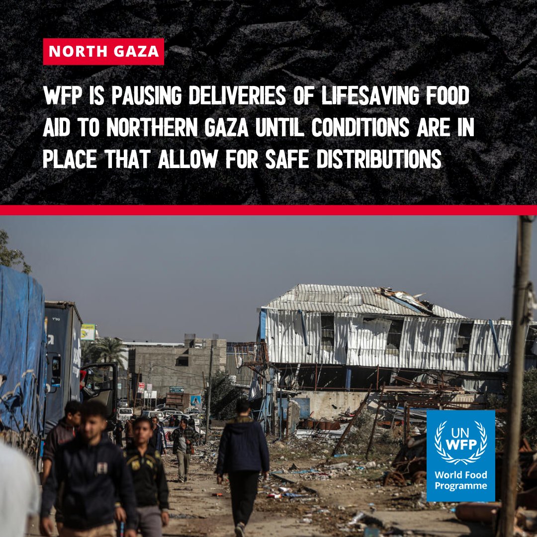 Northern Gaza: Violence, Looting, and Humanitarian Crisis Unfold