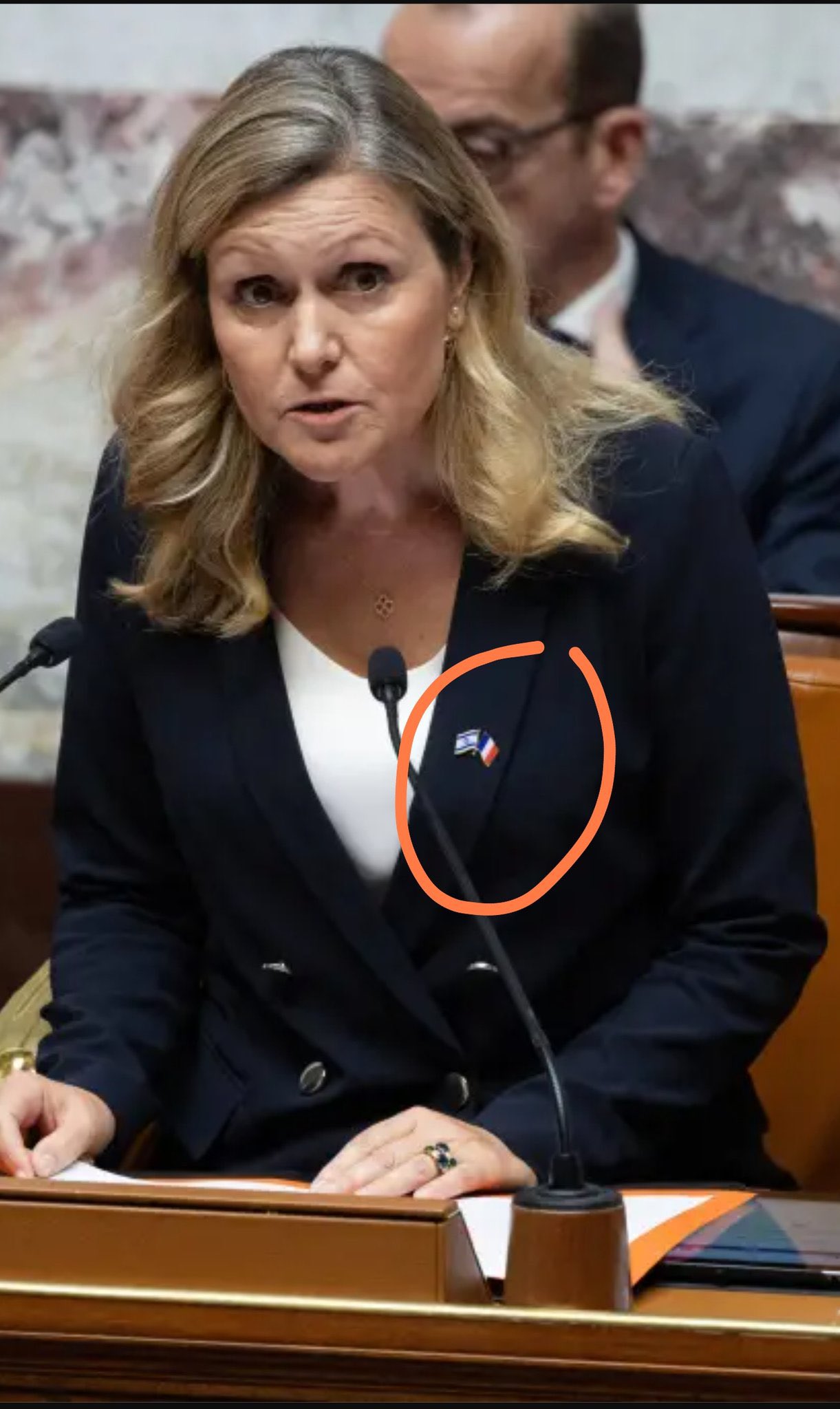 French Assembly President Accused of Hypocrisy Over Flag Sanctions