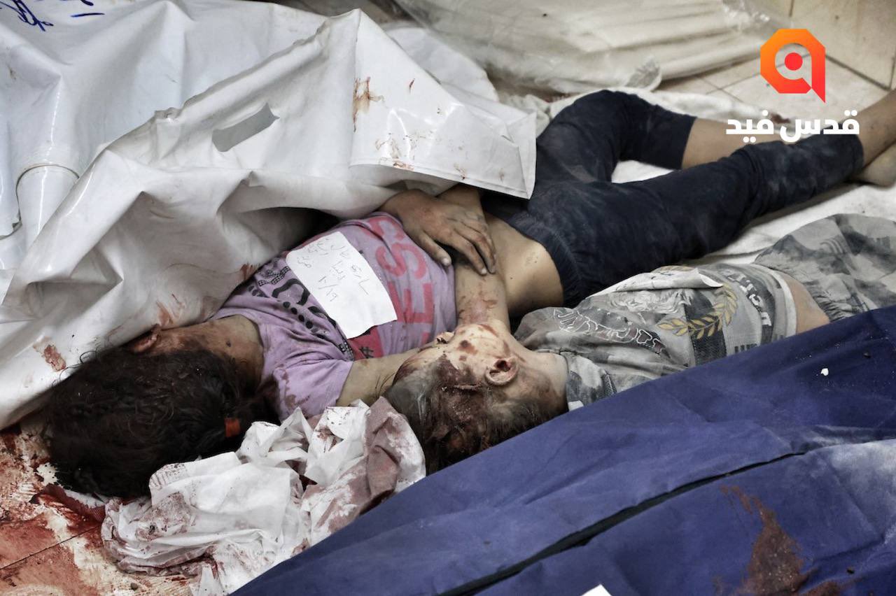 Death Smell Everywhere Gaza Crisis Report