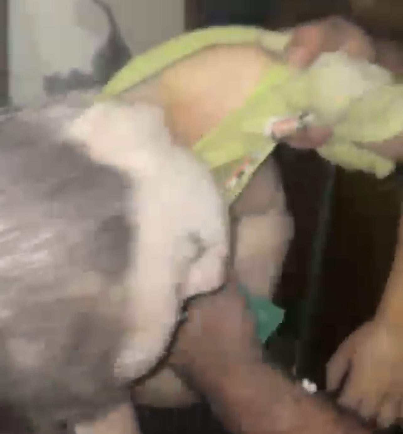 Gaza casualties from Israeli airstrikes in multiple neighborhoods