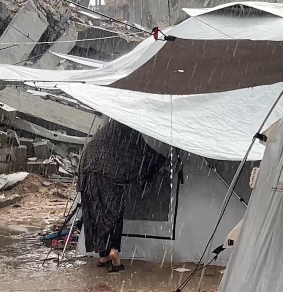 Personal testimony of helplessness amid Gaza humanitarian crisis