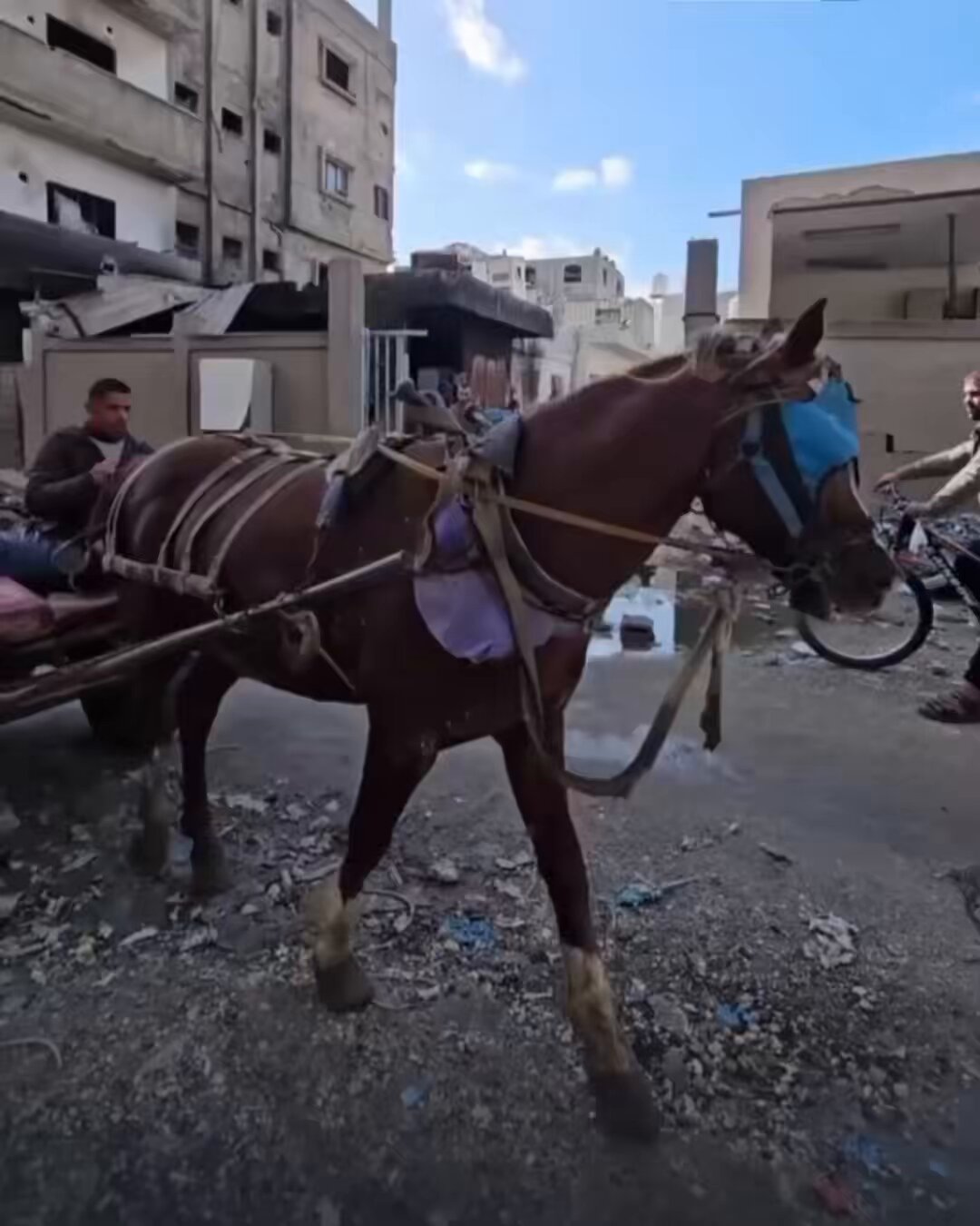 Israeli attacks kill 11 Palestinians in Gaza Strip locations