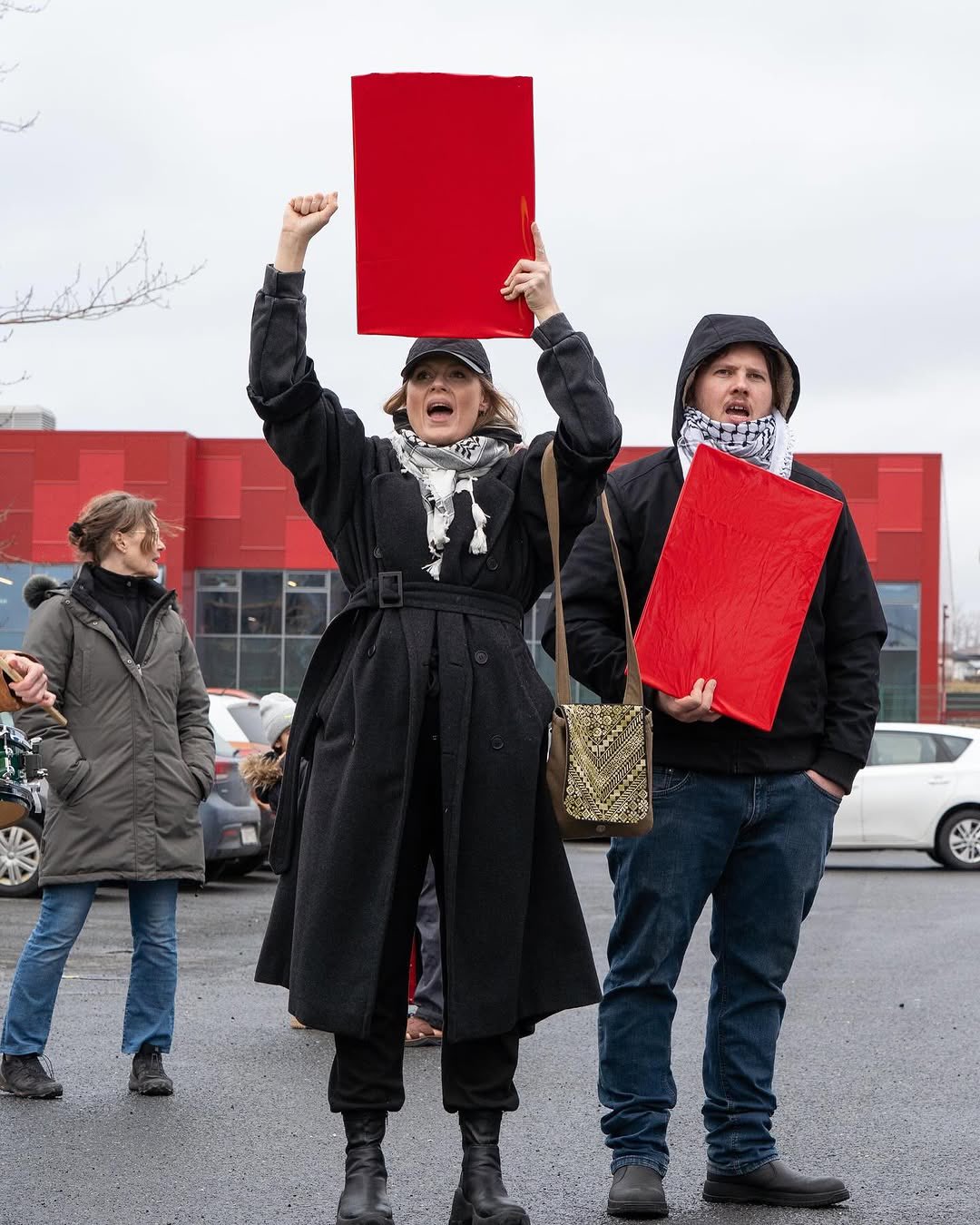 Iceland activists protest Israeli handball team participation