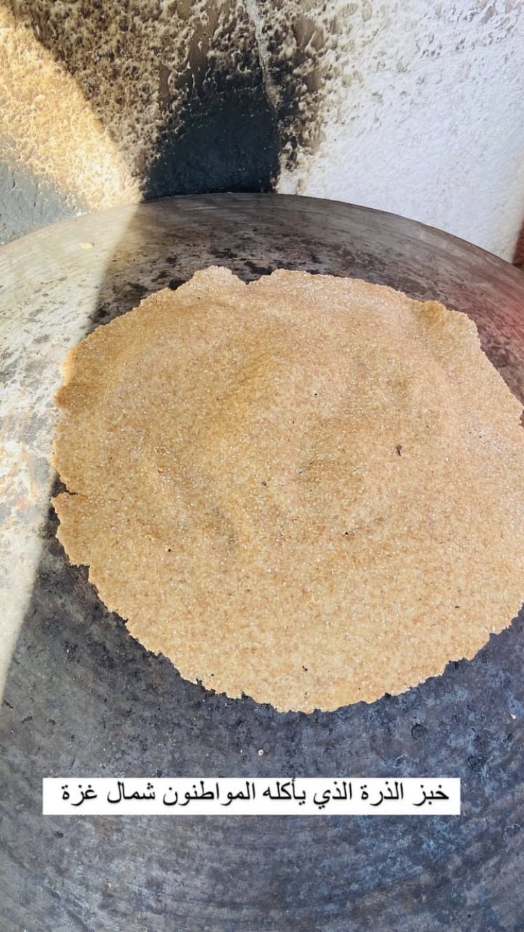 Cornbread consumed in northern Gaza Strip