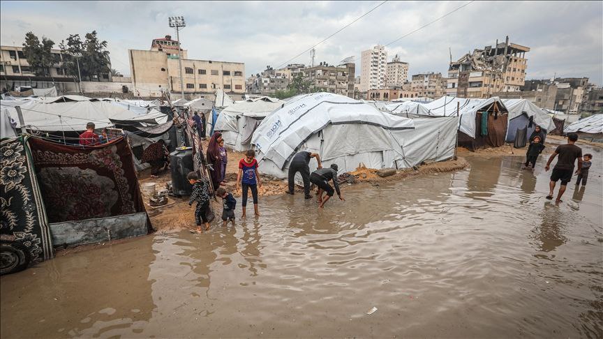 Leptospirosis cases rise among displaced Gaza residents