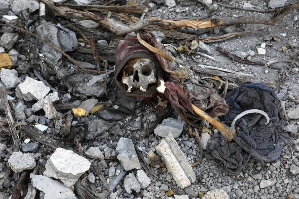 Human Remains of Palestinians Killed in Israeli Gaza War