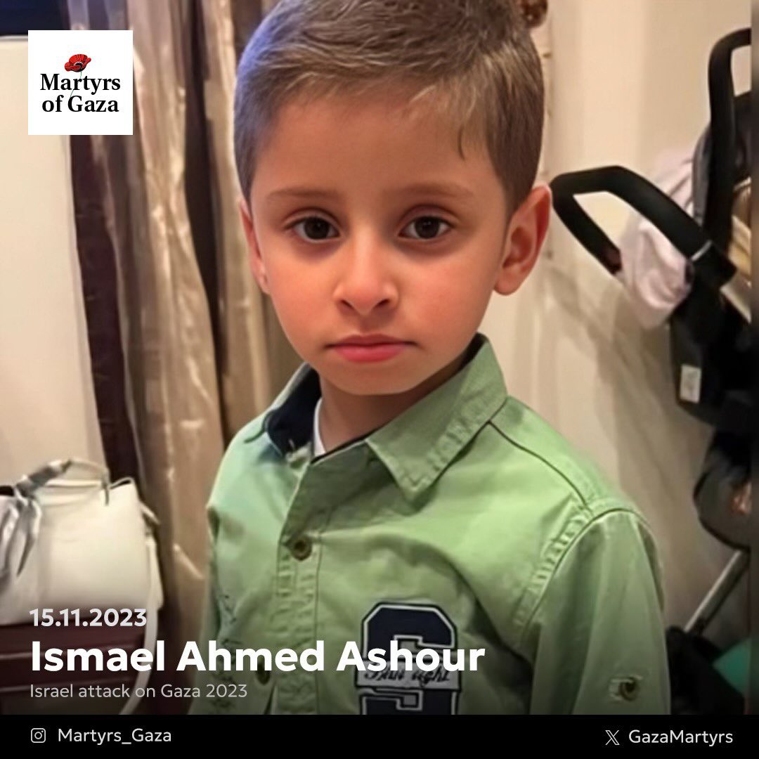 Four-year-old from Portugal describes Israeli occupation violence