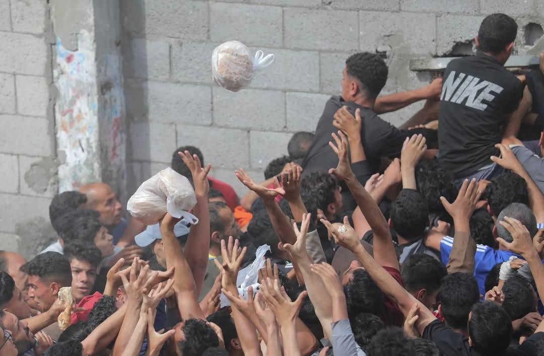 Gaza aid distribution criticized as chaotic and ineffective process