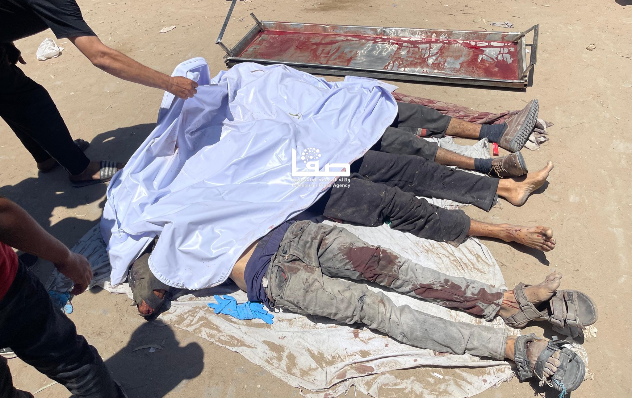Israeli forces kill 81 aid seekers in northern Gaza