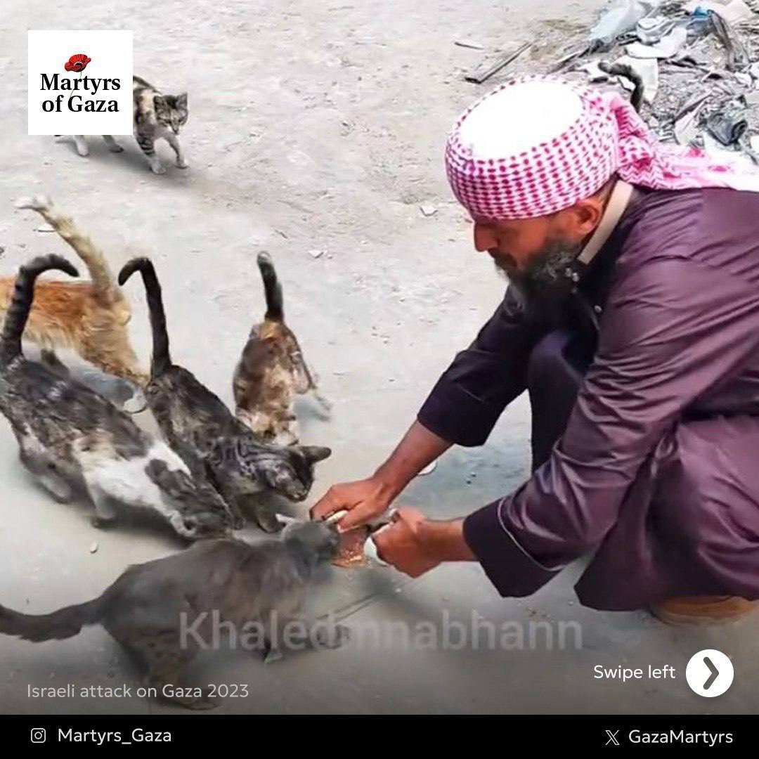 Coping with grief through humanitarian work and animal care in Gaza