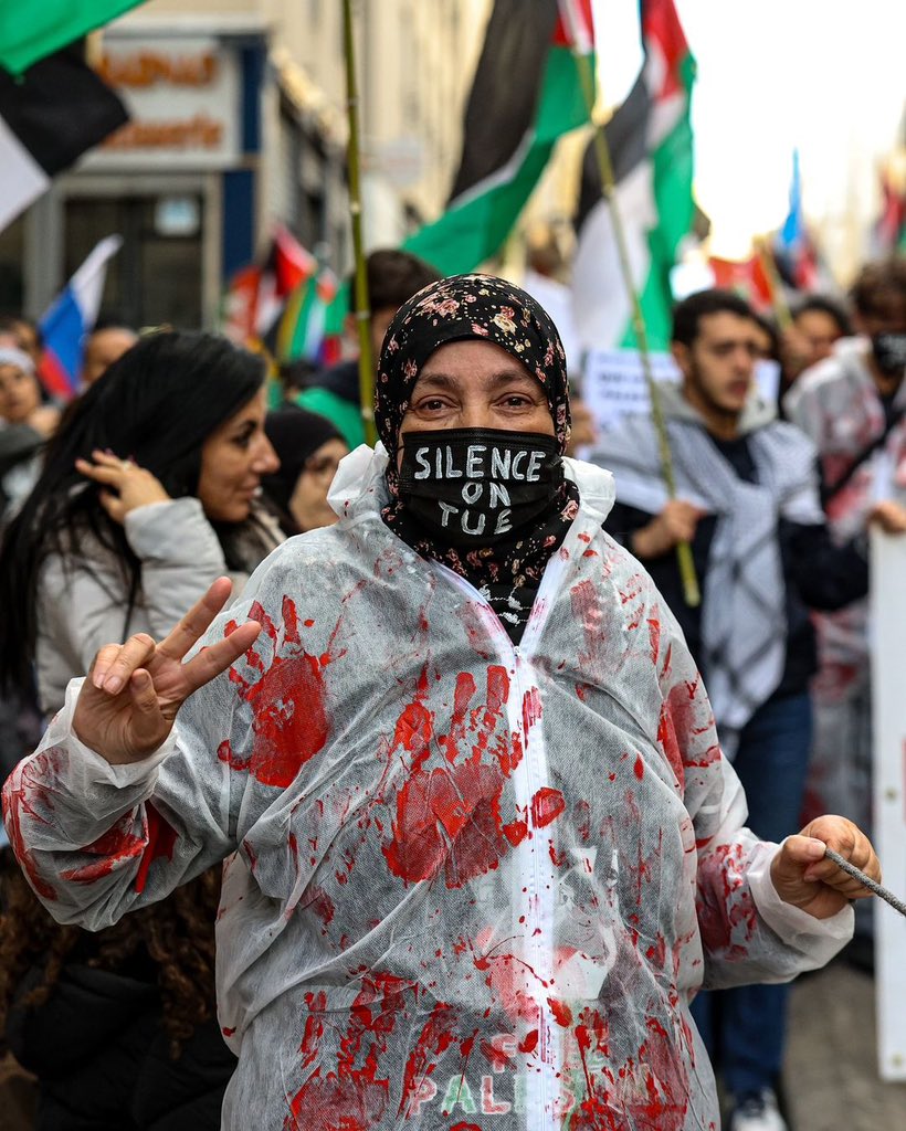 Pro-Palestine Demonstration in Marseille Against Israeli Occupation