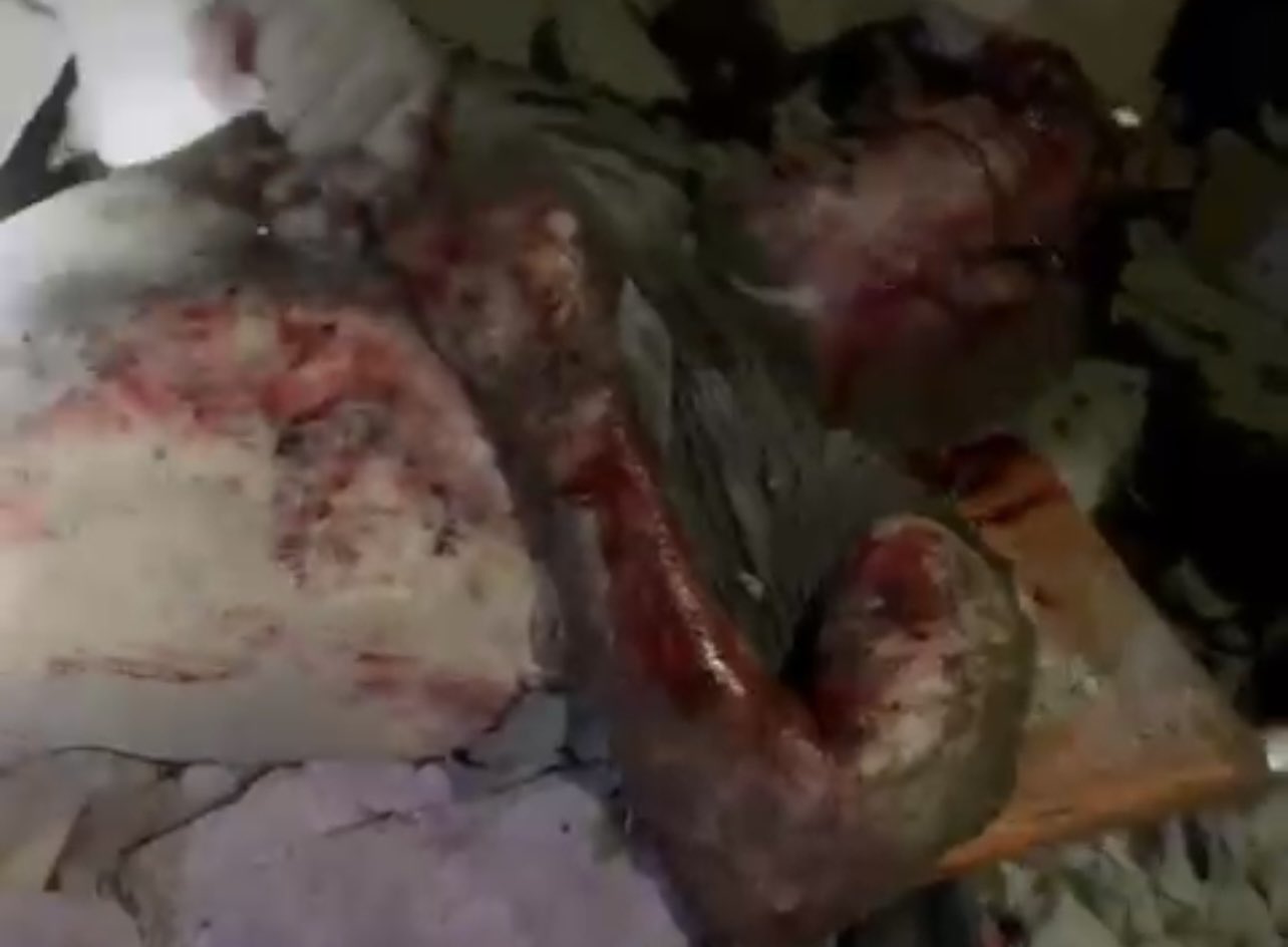 Five family members killed in Gaza City bombing
