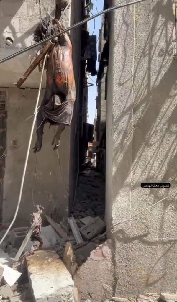 Paramedics evacuate six bodies from Rafah