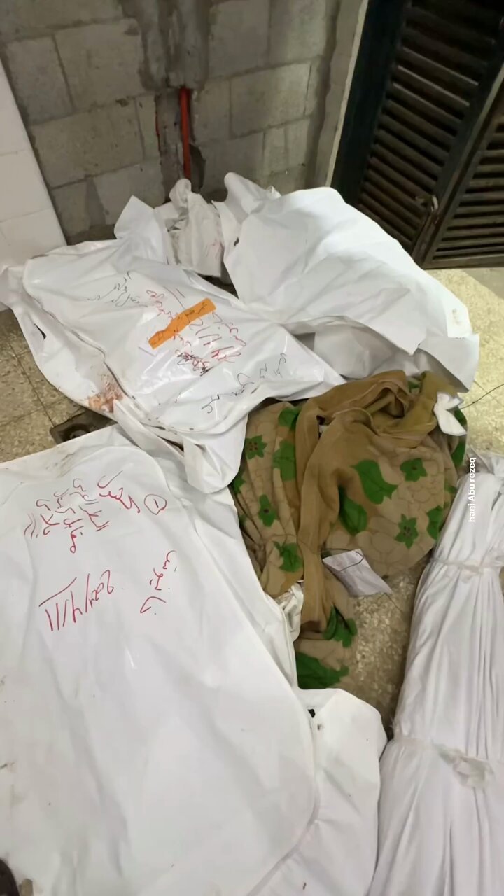 Israeli occupation commits four massacres killing 43 injuring 62