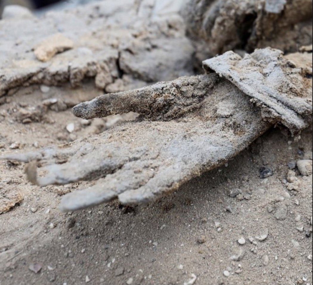 Israeli tanks and Al Shifa Hospital casualties allegations
