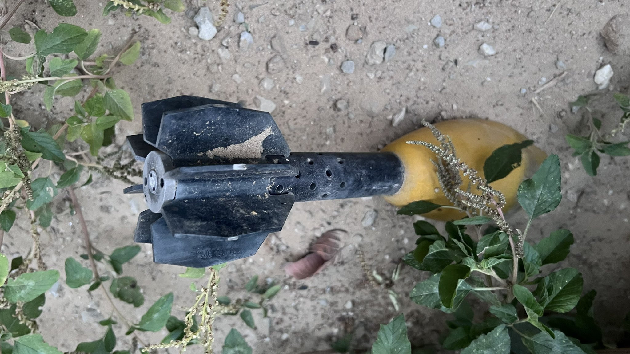 Leftover ordnance causes casualties after Israeli attacks Gaza