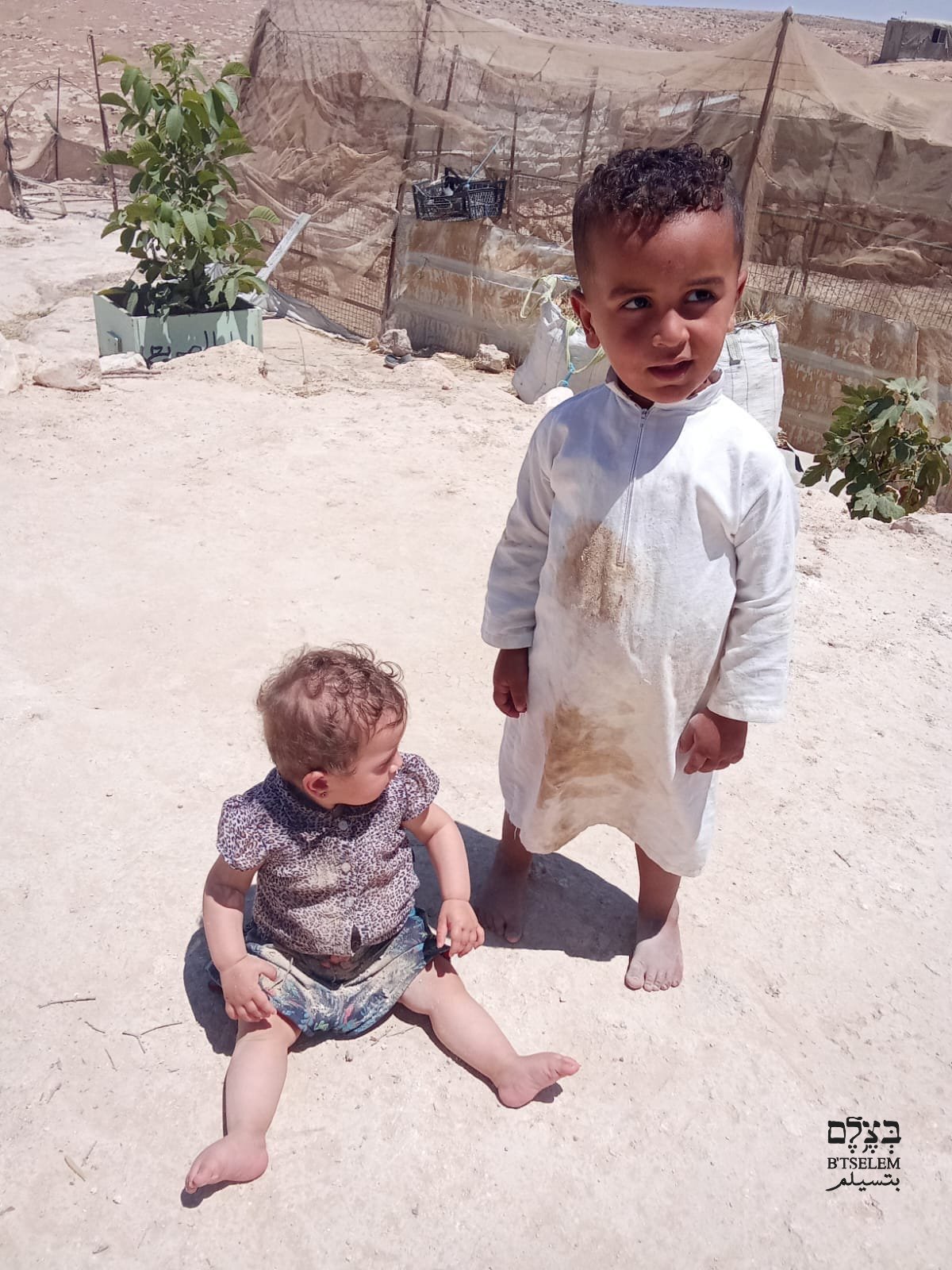 Israeli forces arrest Palestinians during settler grazing incident