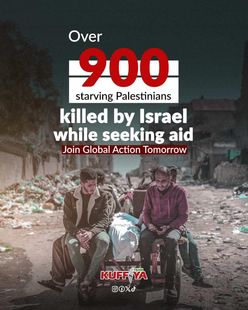 Palestinian Deaths at Gaza Aid Distribution Points