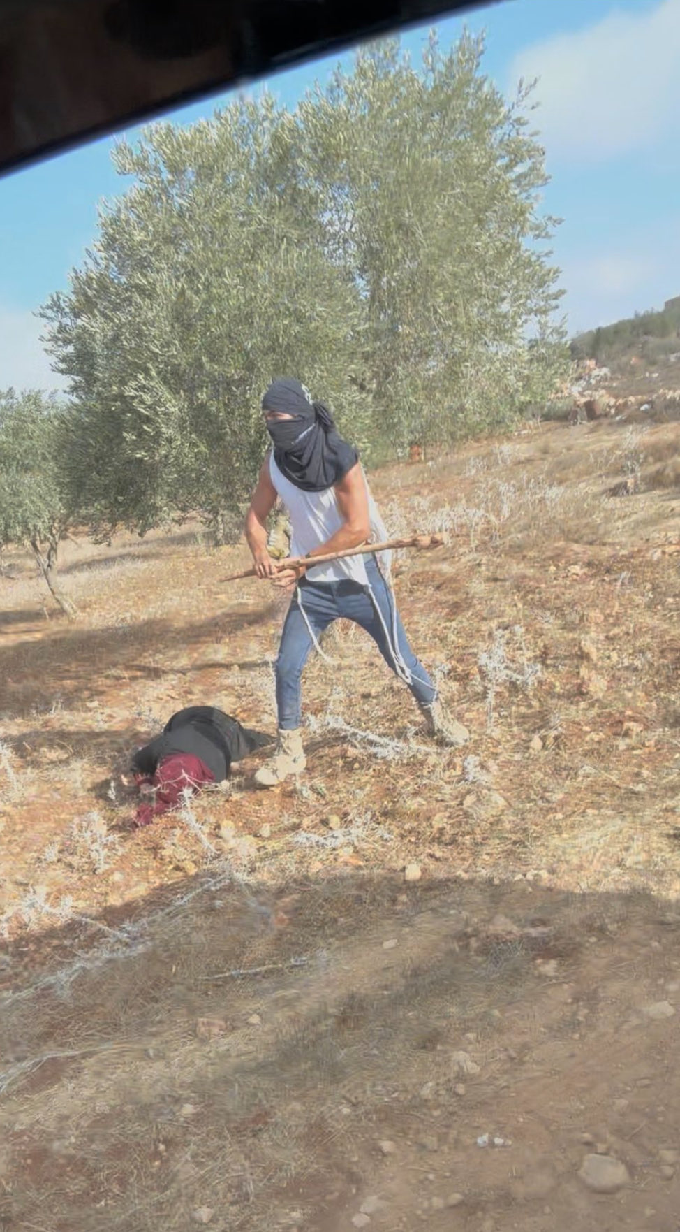 Single photograph summarizes entire Palestine story