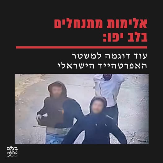 Settlers Attack Pregnant Palestinian Woman and Children