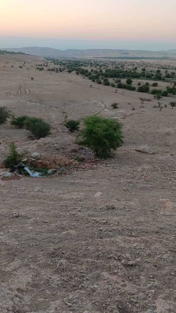 Israeli Settlers Divert Al-Auja River to Cut Palestinian Water