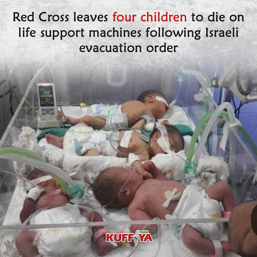 Red Cross and Premature Babies Death at Al-Naser Hospital