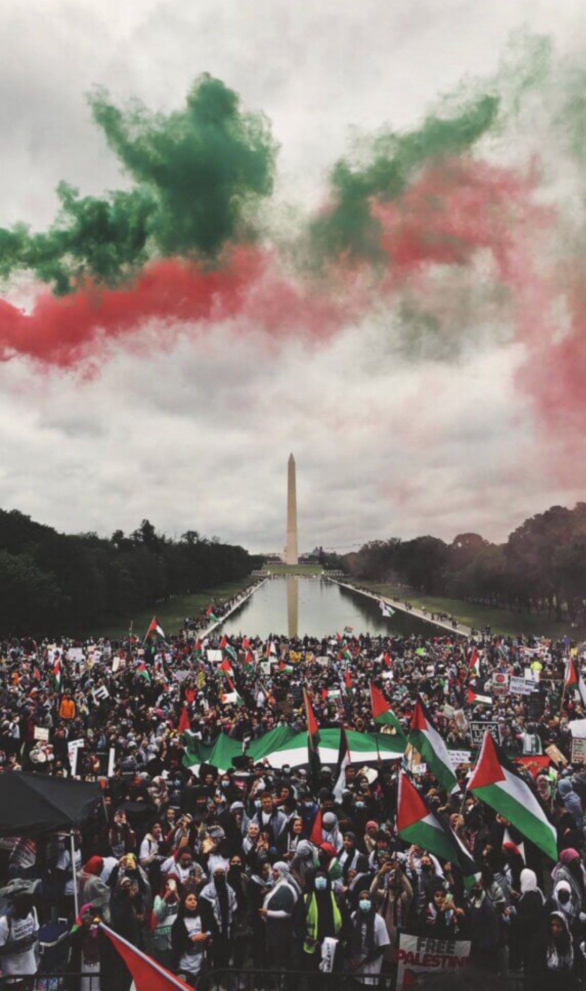 Continued Call for Attention to Gaza Crisis