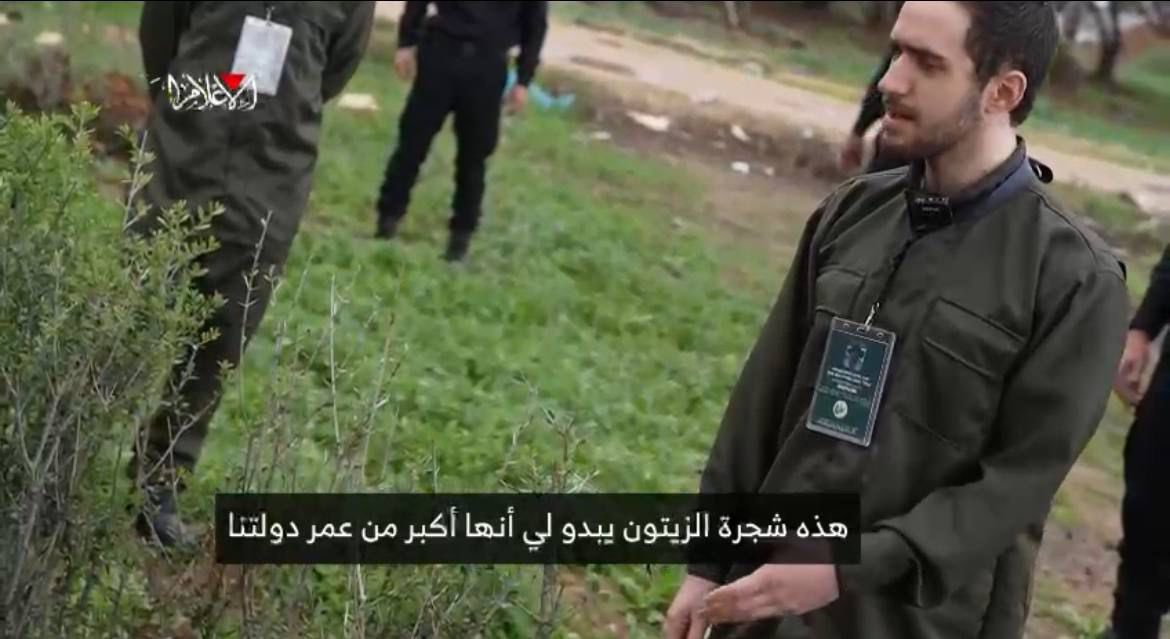 Israeli Prisoner Reflects on Ancient Olive Tree in Gaza