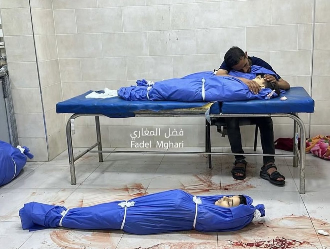 63 Palestinians Killed in Israeli Attacks Since Midnight Gaza