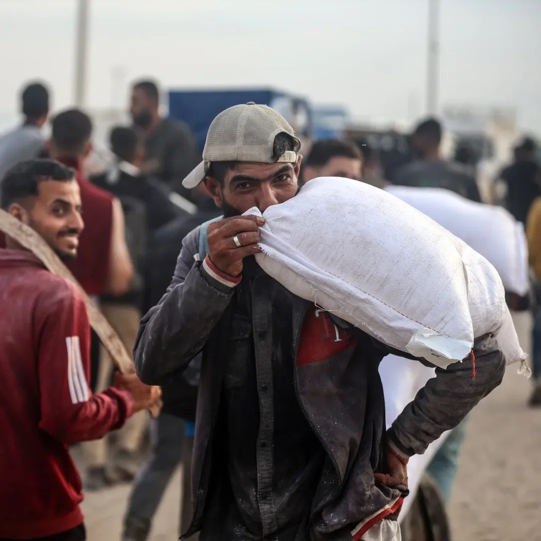 Risking Lives for Flour in Gaza Humanitarian Crisis