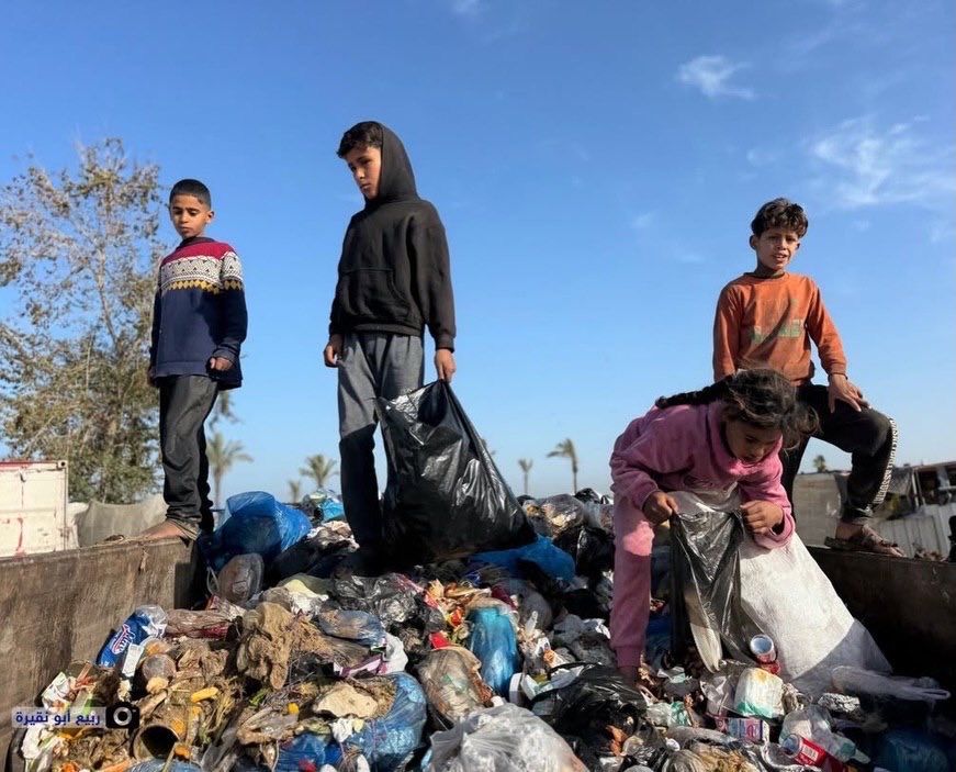 Children scavenge waste for fuel amid Khan Younis humanitarian crisis