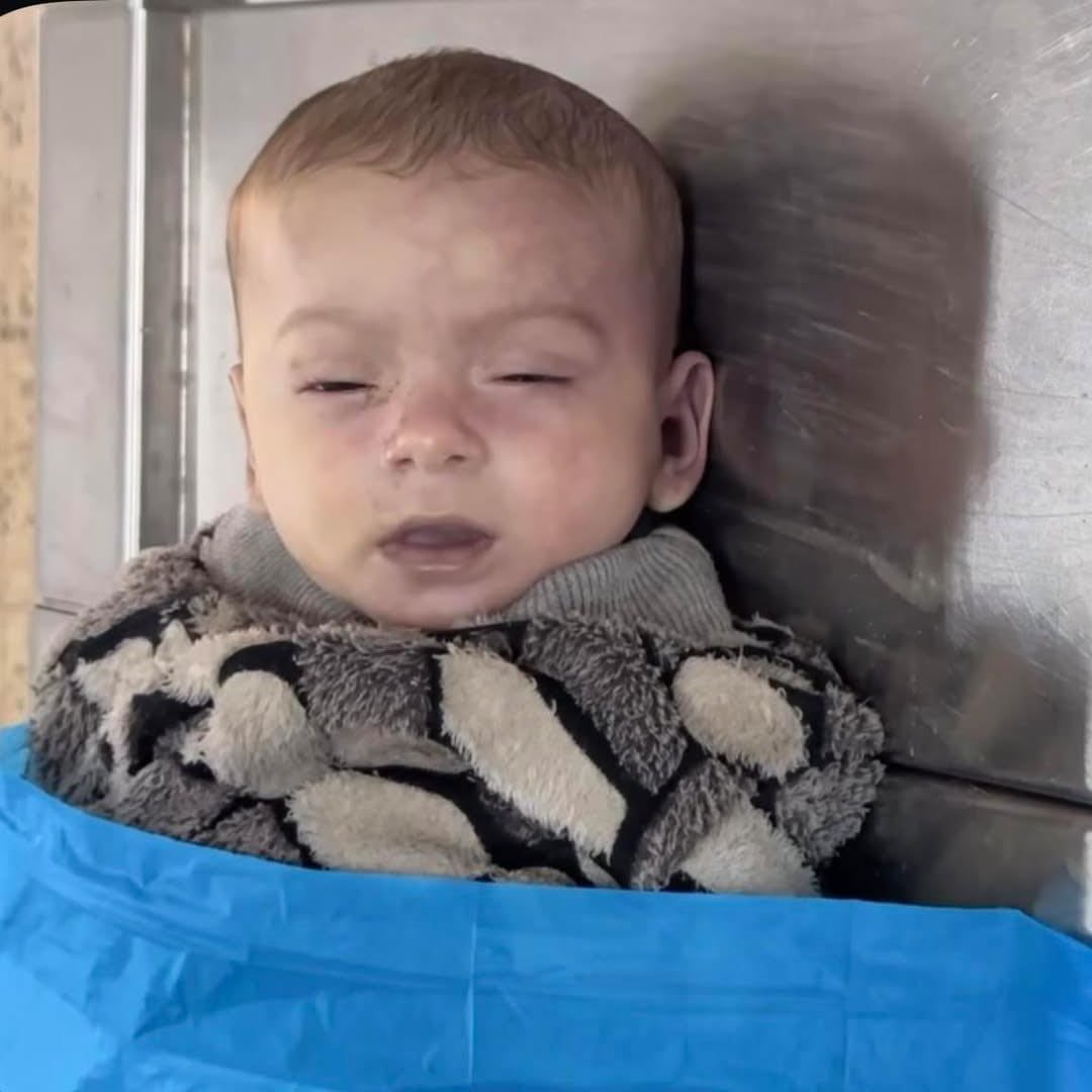 Seven-month-old Shaza dies from cold in Gaza displacement tent
