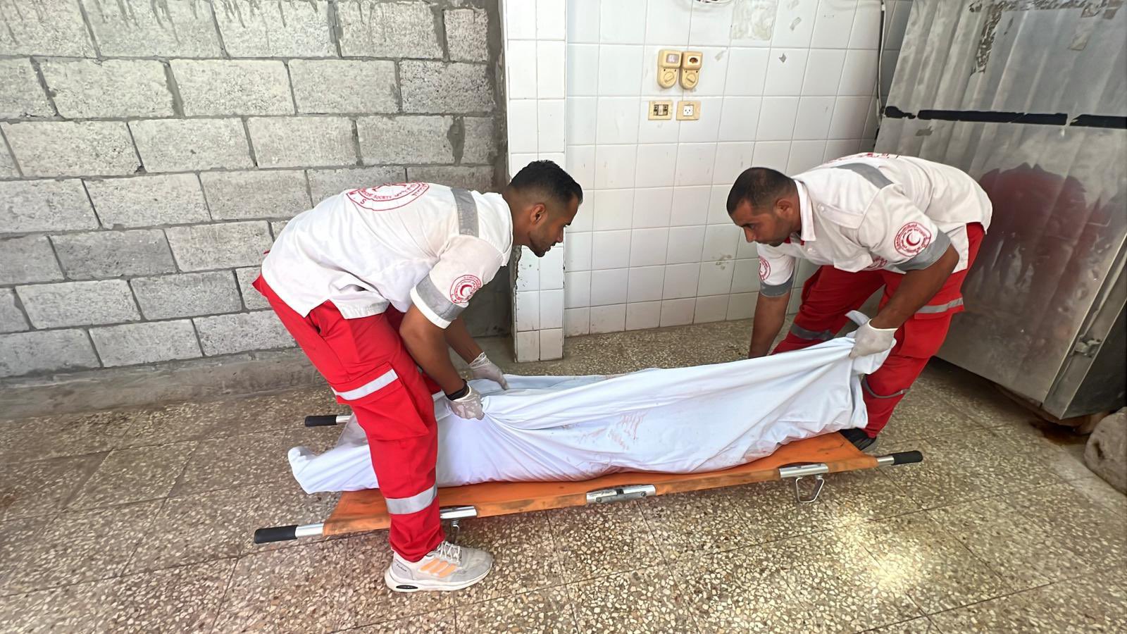 Woman Killed by Israeli Sniper in Gaza Strip