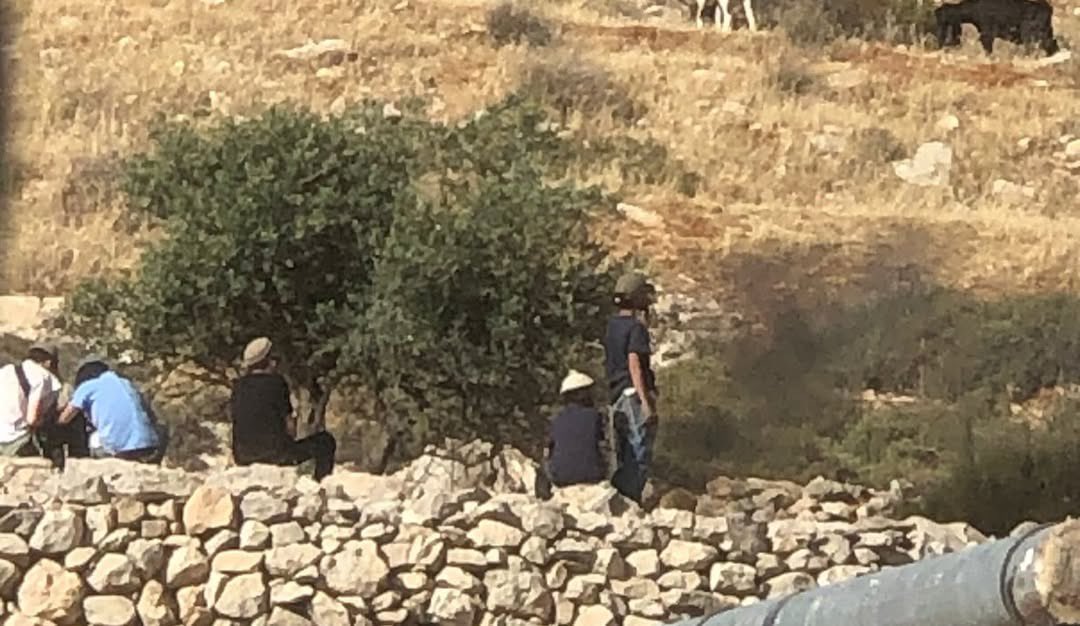 Palestinian families near Hebron settlements endure settler violence and army raids