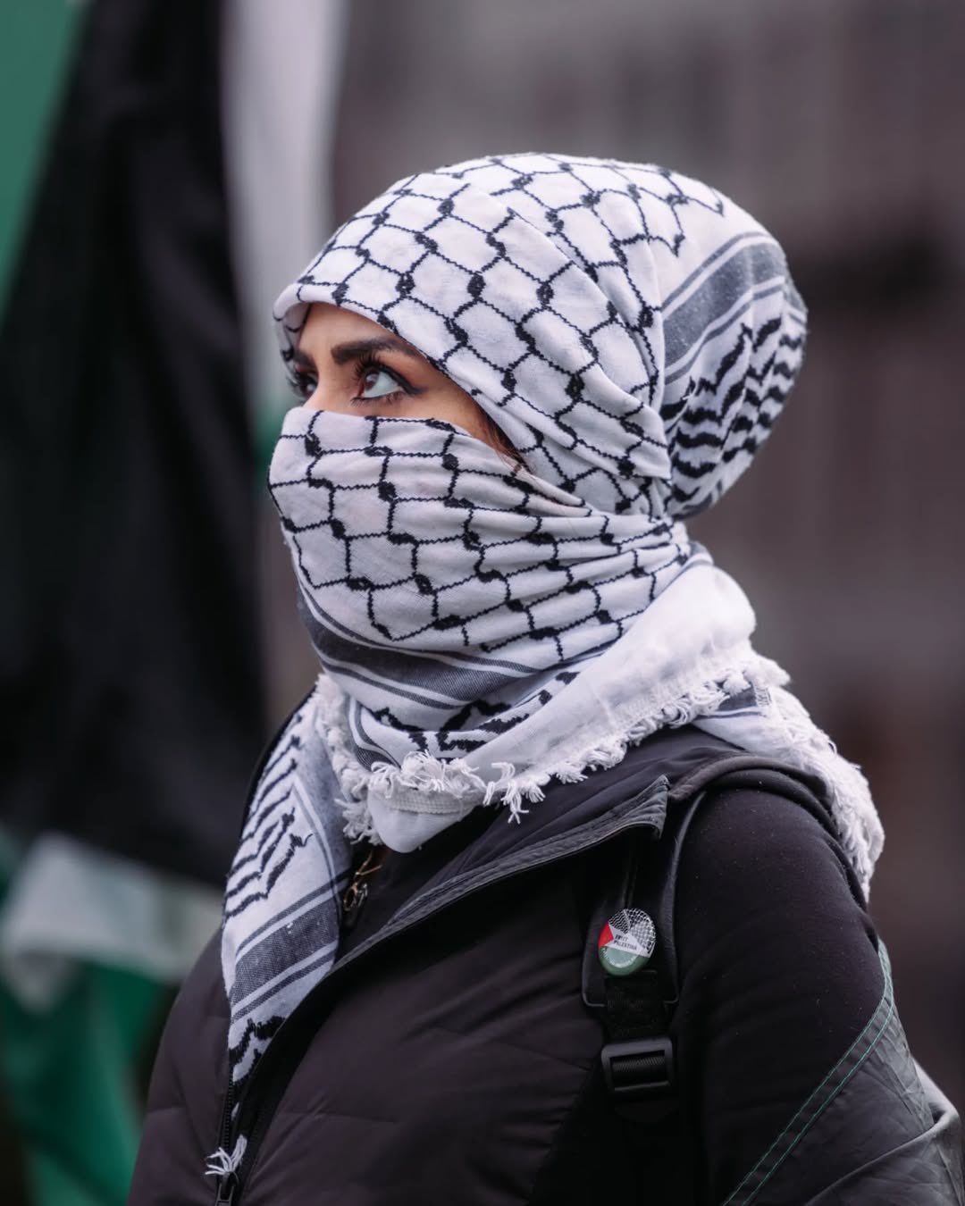 Pro-Palestine Solidarity Demonstration in Oslo