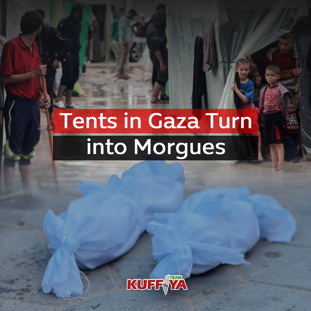 Newborns Die from Freezing Temperatures in Gaza Displacement Camps
