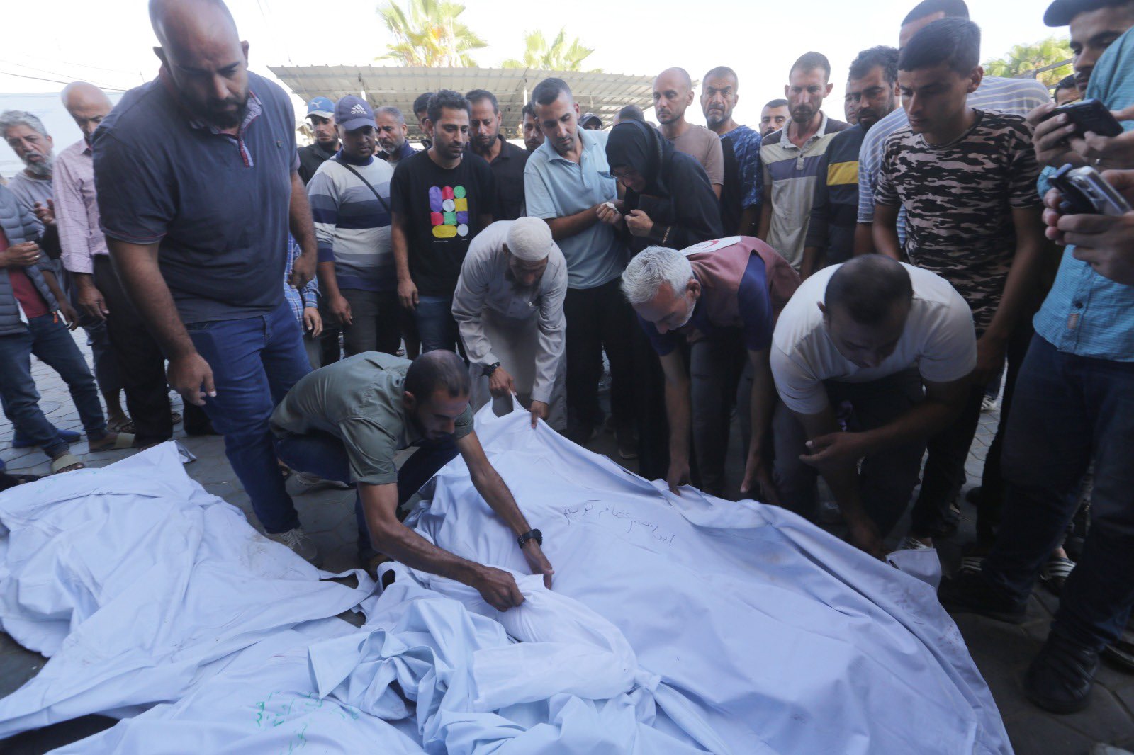 Gaza: 99 Palestinians killed, 169 wounded Wednesday