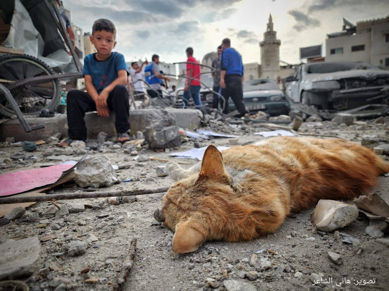 Civilian casualties from Israeli bombing in Gaza