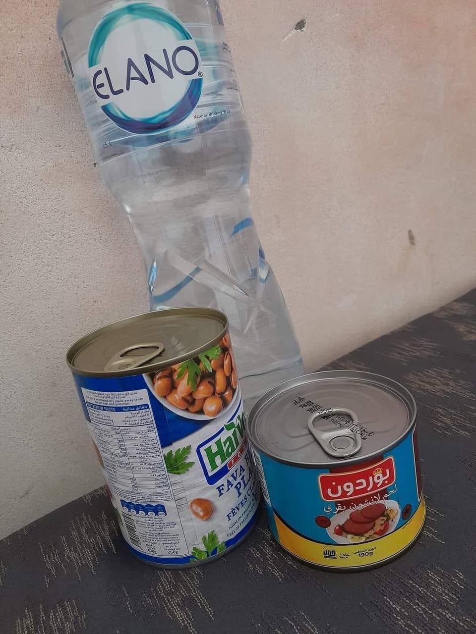 Gaza family receives minimal food aid over three days