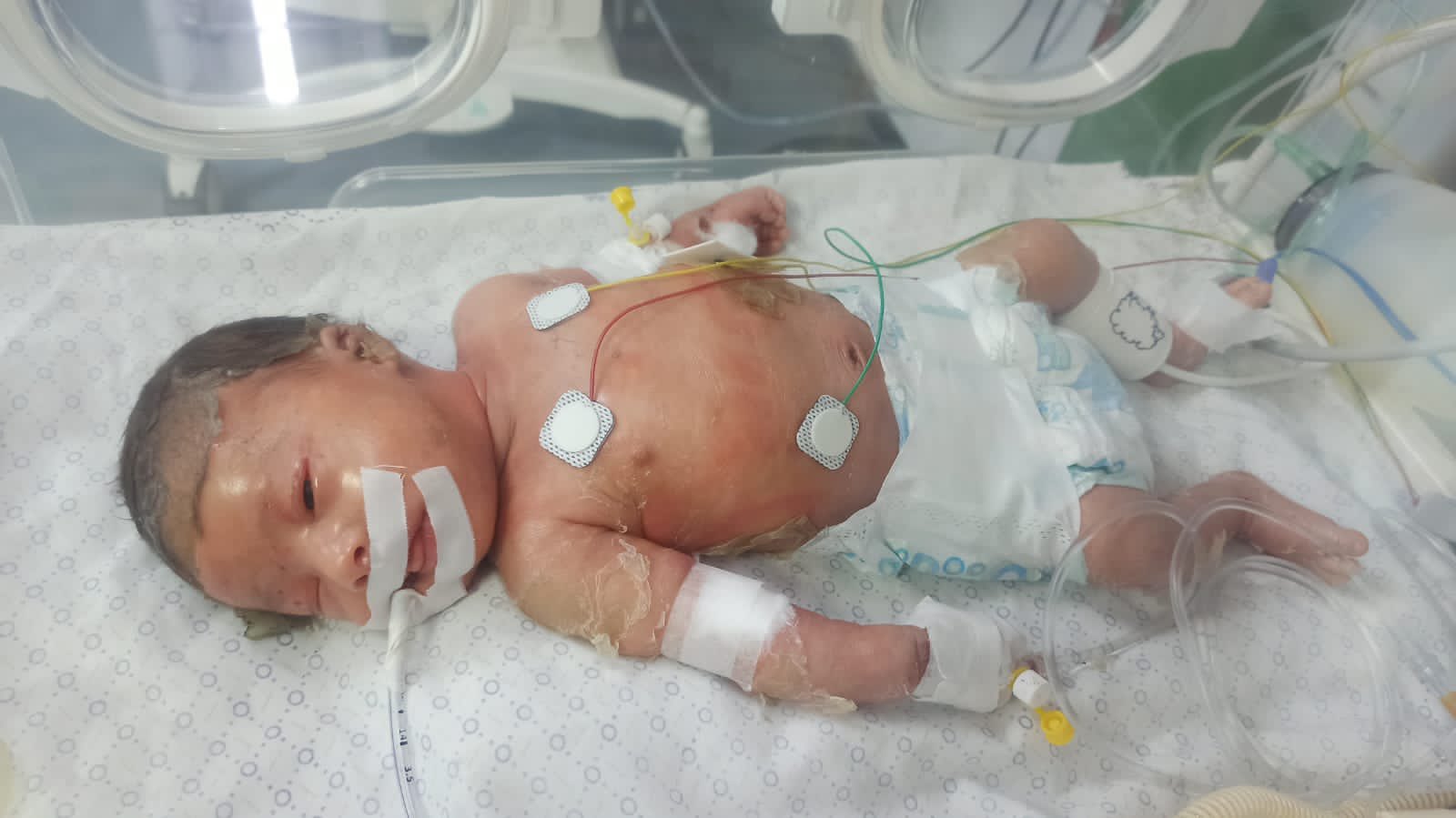 Post describing a two-day-old Gaza terrorist