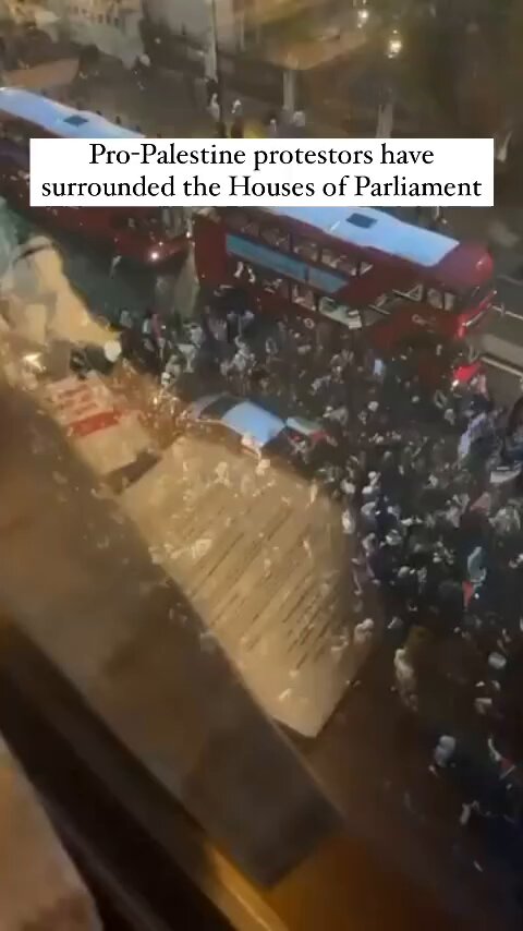 Pro-Palestine Protesters Gather at UK Parliament Against Gaza