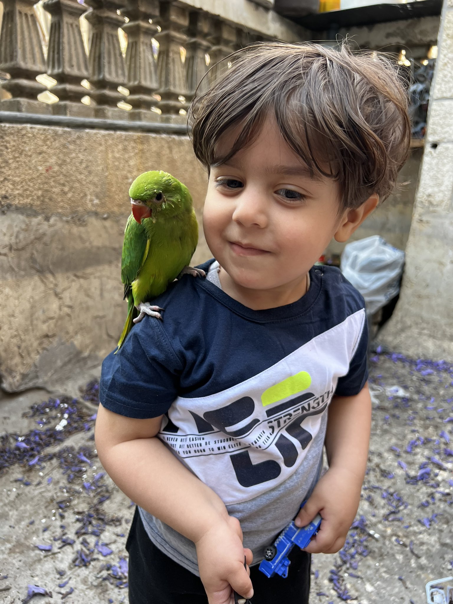 Israeli military killed Palestinian boy, birds, and mother in Gaza