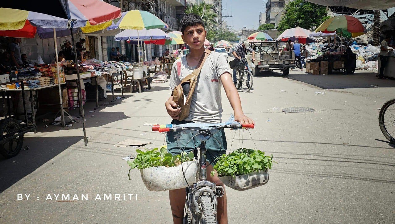 Young vendor sells seedlings as Gaza residents defy evacuation calls
