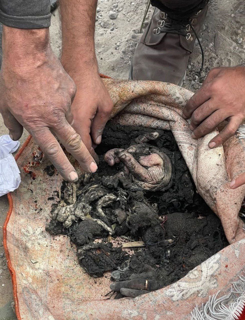 Gaza and Divine Justice for the Oppressed