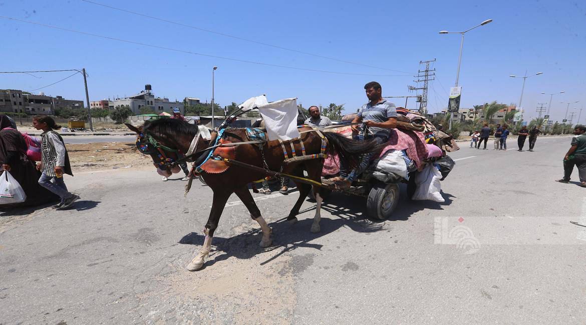Palestinian families flee Gaza City amid continued Israeli bombing