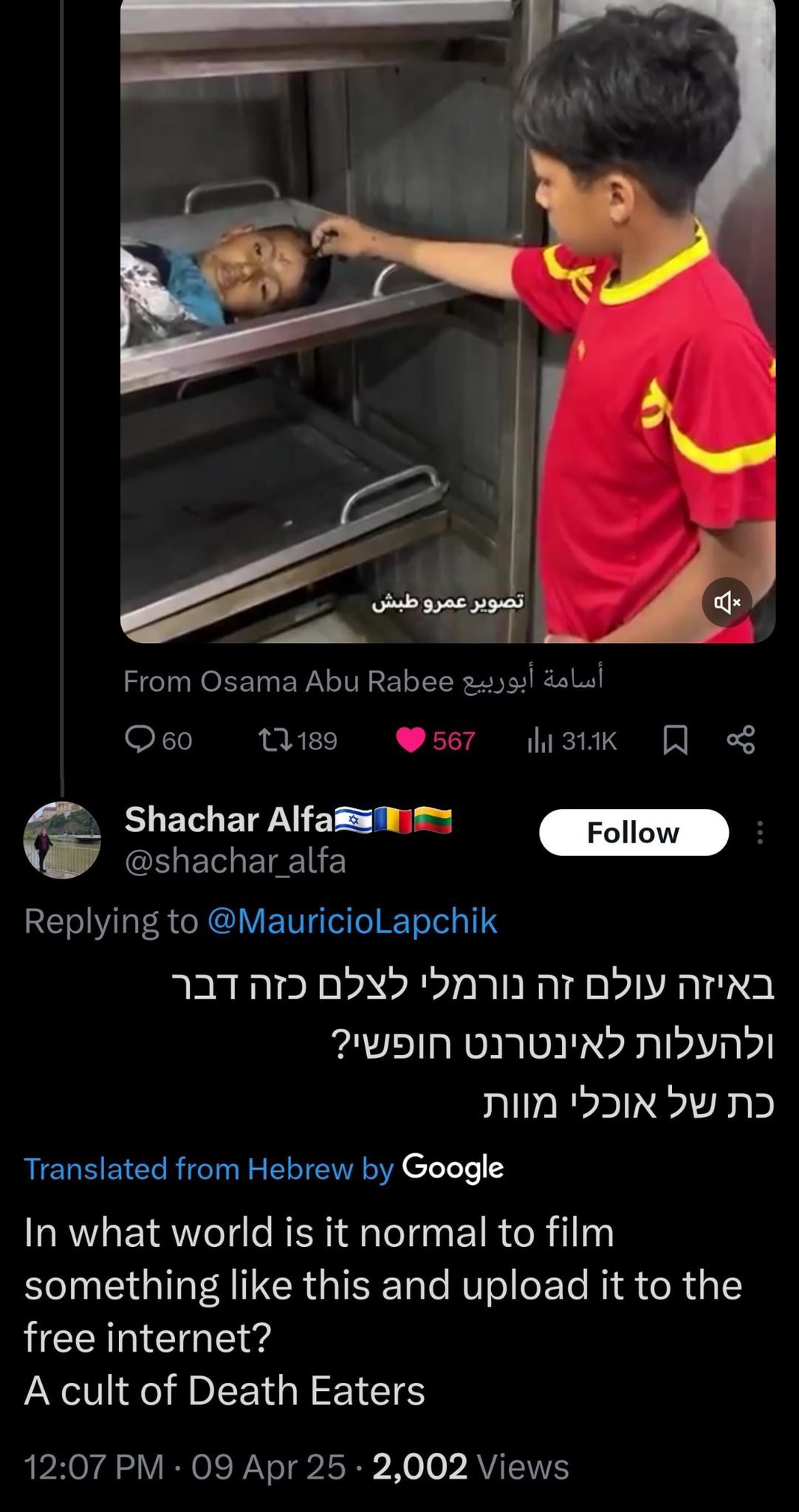 Israeli Military Actions and Child Casualties Critique