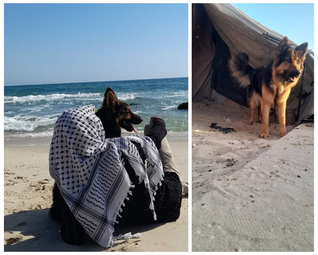 Palestinian Man’s Dog Story Goes Viral Globally